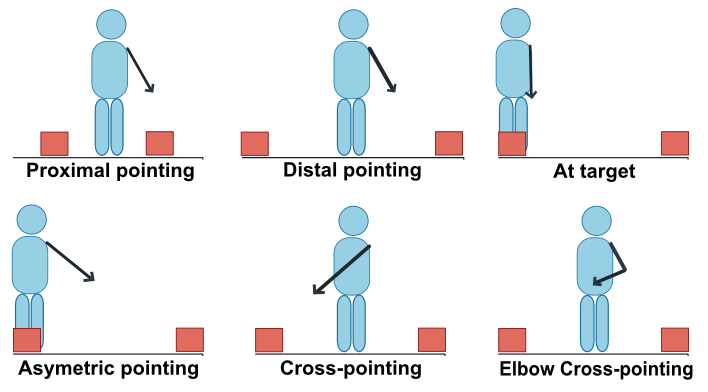 Schematic representation of main pointing gestures.