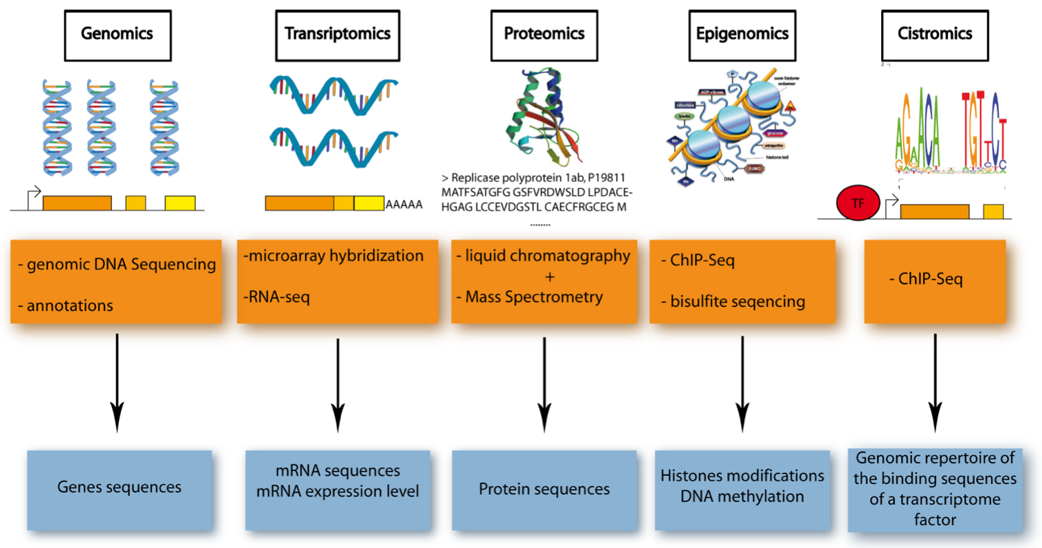 Five Major Omics Technologies.