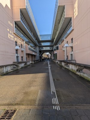 ENS