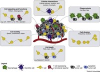 Une étudiante du master publie dans Trends in Immunology