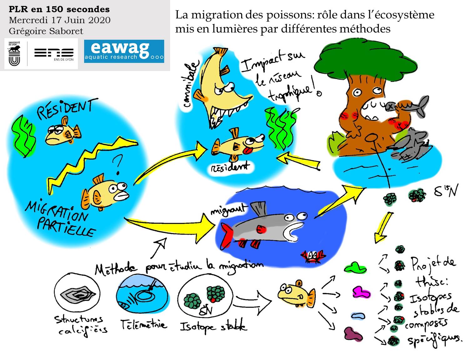 VisioForum "mon Projet Long de Recherche en 150 secondes"