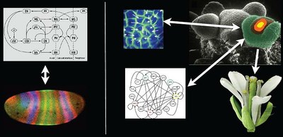 systemes complexes.JPG