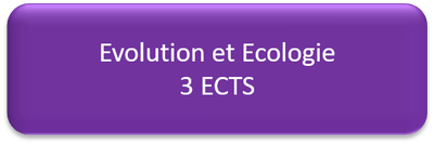 s5 evo eco