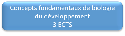 s6 dev2