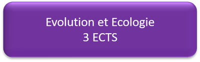s6 evo eco