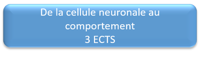 s6 neuro