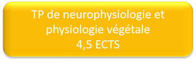 s6 tp physio