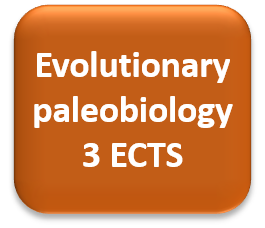 birs paleo