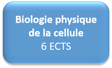opt BPC