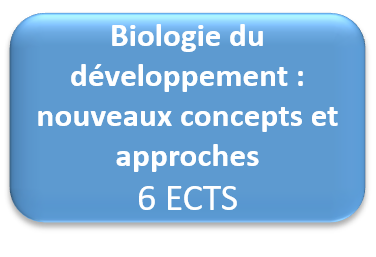 opt dvpt