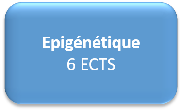 opt epigenetique