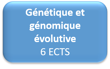 opt genetique