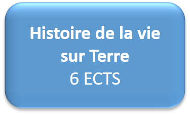 opt HVT