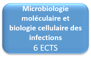opt microbio