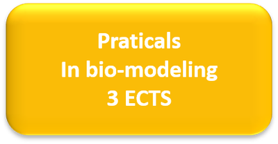 tp biomodeling