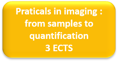 tp imaging