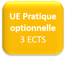 UE pratique optionnelle