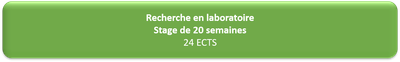 stage m2