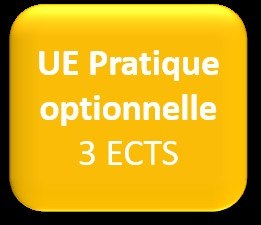 UE pratique optionnelle