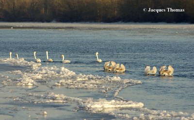 Photo_4.jpg