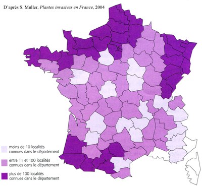 Renouee_du_japon-repartition.jpg