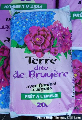 la-terre-de-bruyere.jpg