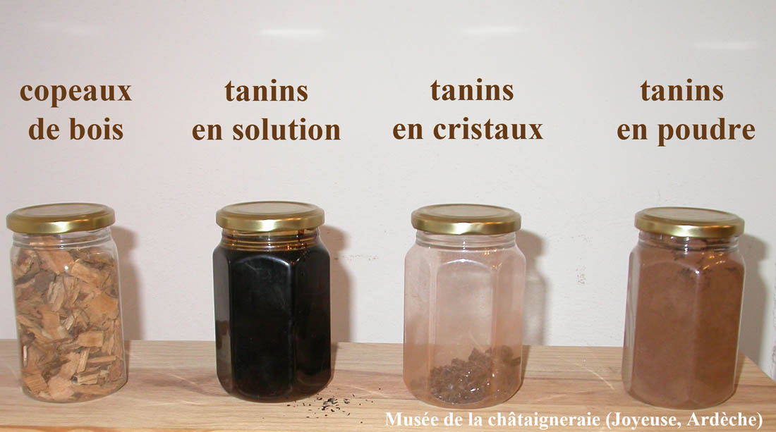 Extraction des tanins
