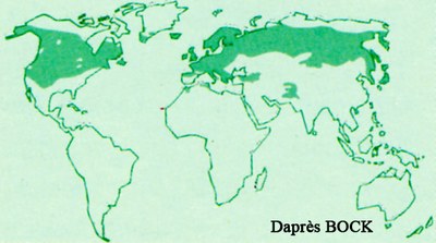 genevrier-commun-repartition-monde.jpg