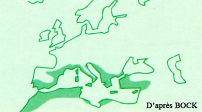 genevrier-de-phenicie-repartition-europe.jpg