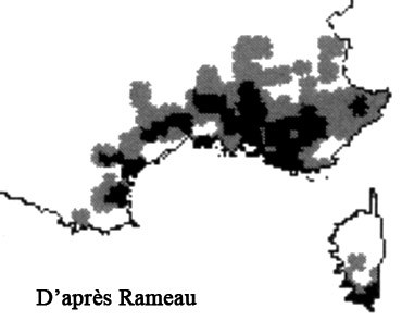 genevrier-de-phenicie-repartition-france.jpg