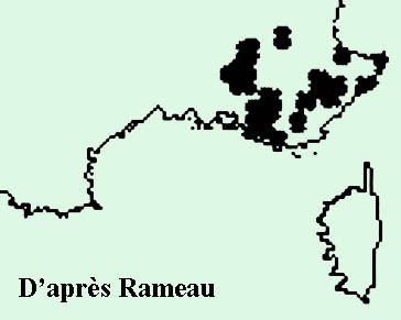 safran-bigarre-crocus-versicolor-repartition