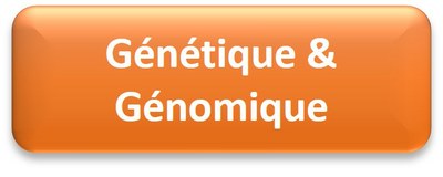 genet icone